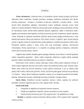 Logistikos sistemos samprata UAB "Ingman vega" ledai 2 puslapis