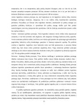 Logistikos sistemos samprata UAB "Ingman vega" ledai 13 puslapis