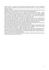 Metalų prekybos biržos 6 puslapis