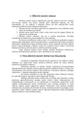 Ofšorinės organizacijos 3 puslapis