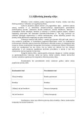 Ofšorinės organizacijos 7 puslapis