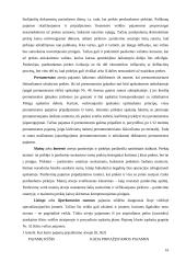 Pardavimų apskaita, jos esmė, reikšmė įmonės veiklai, būtinumas bei tikslai 16 puslapis