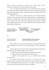 Pelningumo analizė ir prognozavimas 12 puslapis