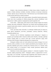 Pelningumo analizė ir prognozavimas 3 puslapis