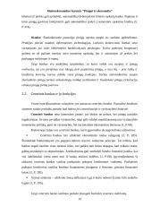 Pinigai ir ekonomika 19 puslapis