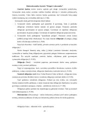 Pinigai ir ekonomika 20 puslapis