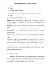 Pinigai ir ekonomika 4 puslapis