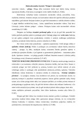 Pinigai ir ekonomika 7 puslapis