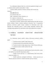 Prekių judėjimas ir sandėliavimas: UAB "Mabivil" 19 puslapis