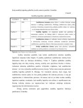 Prekių judėjimas ir sandėliavimas: UAB "Mabivil" 8 puslapis