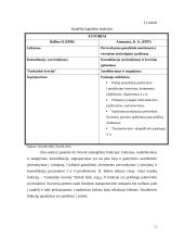 Prekių judėjimas ir sandėliavimas: UAB "Mabivil" 9 puslapis