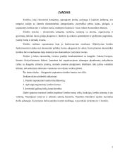 Tarptautinio kredito formos 2 puslapis