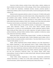 Tarptautinio kredito formos 11 puslapis