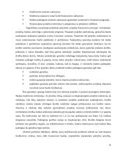 Tarptautinio kredito formos 16 puslapis