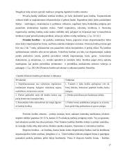 Tarptautinio kredito formos 17 puslapis