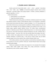 Tarptautinio kredito formos 3 puslapis