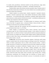 Tarptautinio kredito formos 6 puslapis