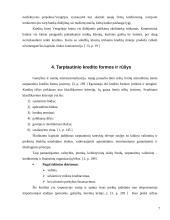 Tarptautinio kredito formos 7 puslapis