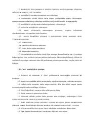 Įmonių vadybos praktikos ataskaita: autoservisas IĮ "Gesa" 6 puslapis
