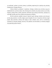 Praktikos ataskaita: Advokatų veikla 10 puslapis