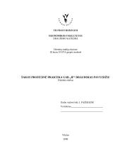 Profesinė praktika: UAB "IF draudimas"