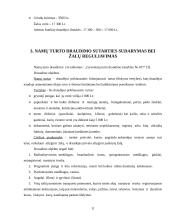 Profesinė praktika: UAB "IF draudimas" 11 puslapis