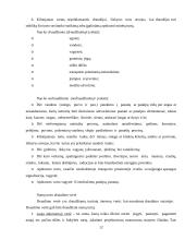 Profesinė praktika: UAB "IF draudimas" 12 puslapis