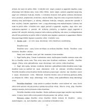 Profesinė praktika: UAB "IF draudimas" 13 puslapis