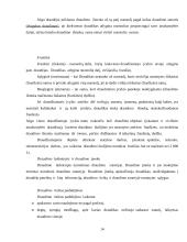 Profesinė praktika: UAB "IF draudimas" 14 puslapis