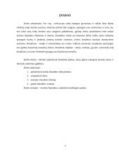 Profesinė praktika: UAB "IF draudimas" 3 puslapis