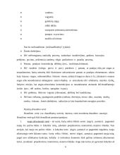 Profesinė praktika: UAB "IF draudimas" 6 puslapis