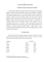 Akcentologija 3 puslapis