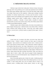 Arklio anatomija 20 puslapis