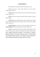 Arklio anatomija 3 puslapis