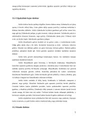 Arklio anatomija 7 puslapis