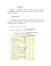 Baltyminės medžiagos 2 puslapis