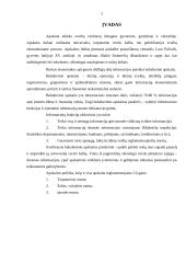 Bendrieji apskaitos principai 2 puslapis