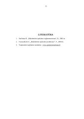 Bendrieji apskaitos principai 11 puslapis