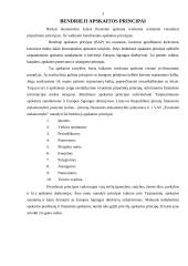 Bendrieji apskaitos principai 3 puslapis