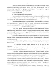 Bendrieji apskaitos principai 6 puslapis