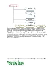 Deminutyvų vartojimas lietuvių liaudies dainose 4 puslapis
