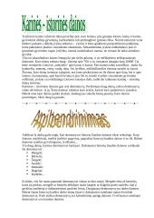 Deminutyvų vartojimas lietuvių liaudies dainose 7 puslapis