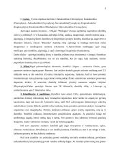 Dumblių reikšmė 2 puslapis