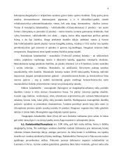 Dumblių reikšmė 4 puslapis