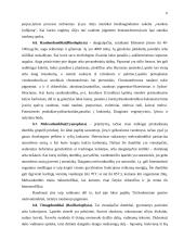 Dumblių reikšmė 6 puslapis