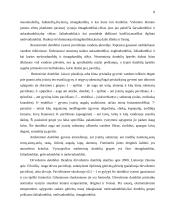 Dumblių reikšmė 8 puslapis