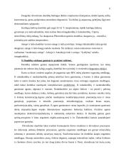 Dumblių reikšmė 9 puslapis