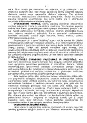 Kapitalo kaupimas ir ekonominis augimas 2 puslapis