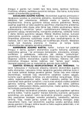 Kapitalo kaupimas ir ekonominis augimas 11 puslapis