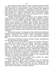 Kapitalo kaupimas ir ekonominis augimas 12 puslapis